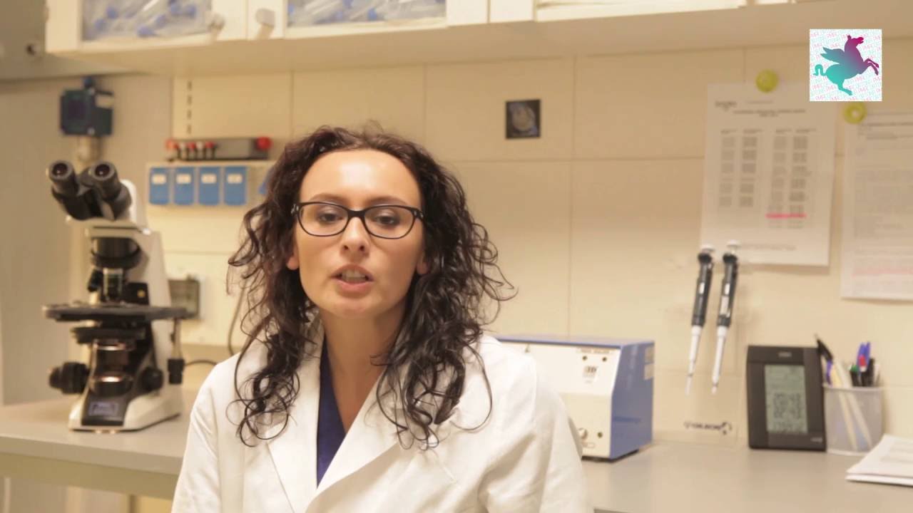 Il Percorso Con La Coppia