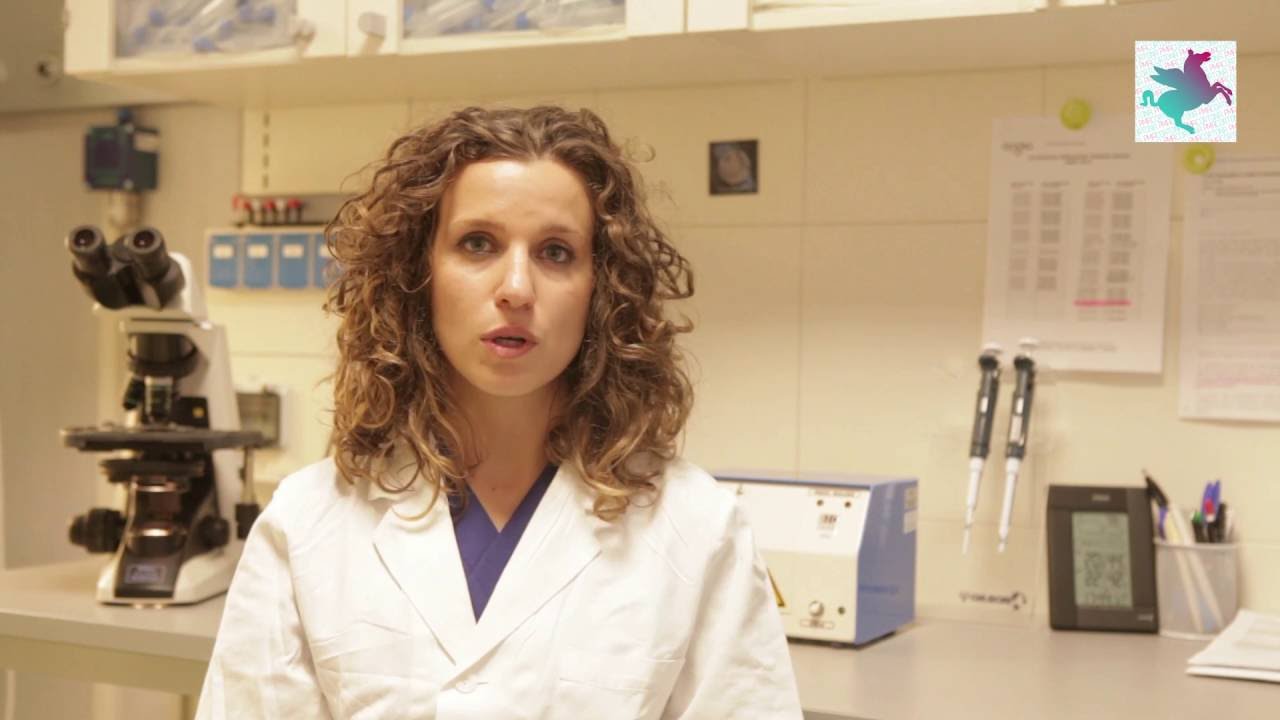 Il Percorso Con La Coppia